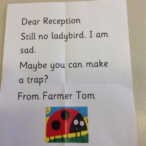 Foundation's Ladybird Hunt