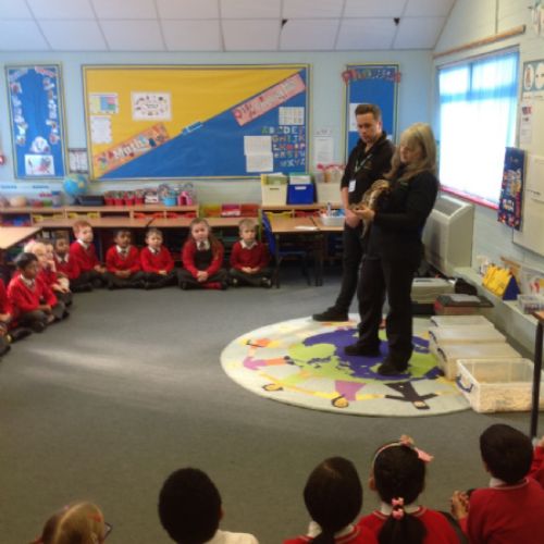 KS1 Animal Hands on morning