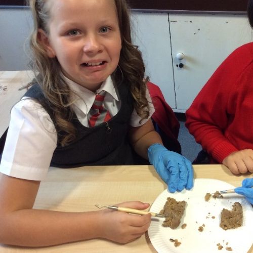 Year 5 Coprolite Investigation