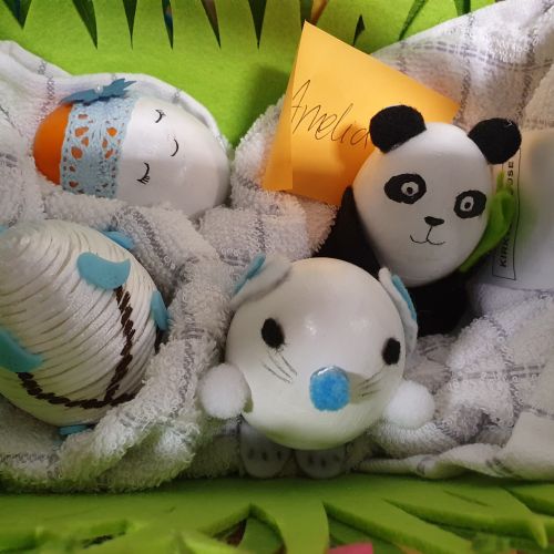 Yr5Eggs4