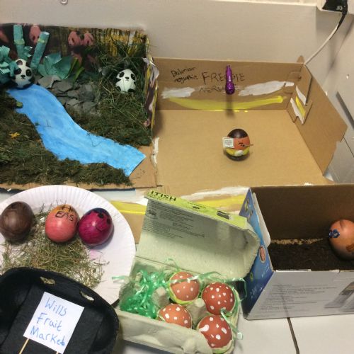 Yr6Eggs12