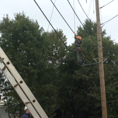 IMG3993